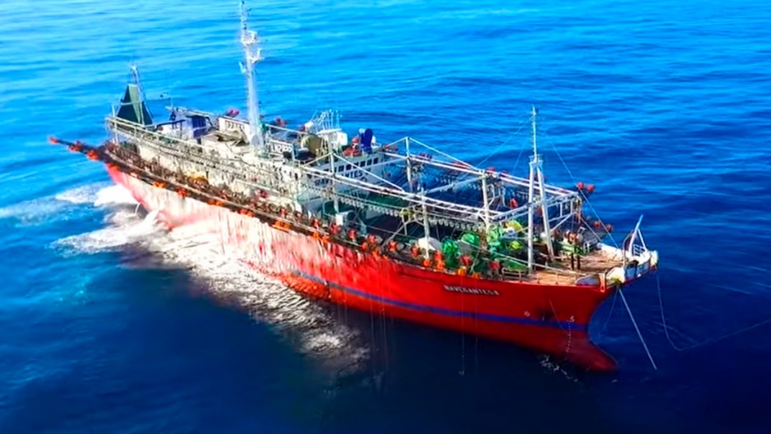 Preocupación en la pesca: la flota potera se retira del norte por la escasez de calamar