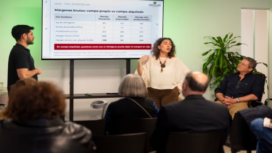 Fertilización en maíz y soja: cómo puede mejorar el margen por hectárea