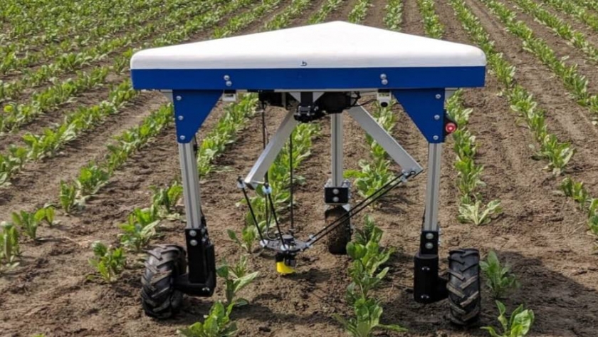  Un robot que arranca las malas hierbas de los cultivos