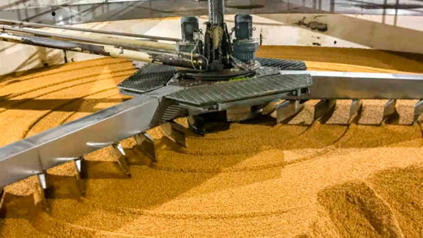 Argentina ya es el principal exportador de cebada de Latinoamérica