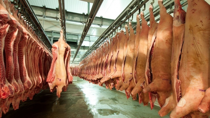 Las exportaciones porcinas se multiplicaron más de 10 veces