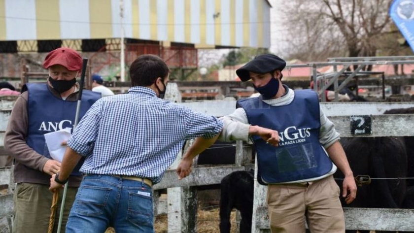 Primera jura de la raza Angus en Entre Ríos