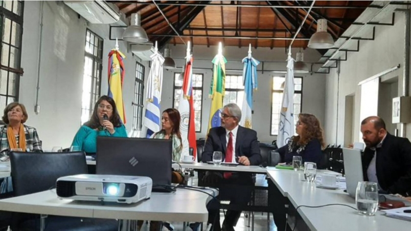 Se realizó el webinario “Sistemas de Protección Social de las Personas Mayores en el MERCOSUR