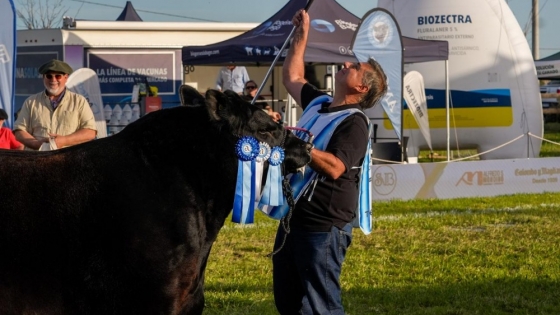 Angus cerró su gran semana en Cañuelas con más de 60.000 cabezas vendidas y un campeón que se llevó todas las miradas