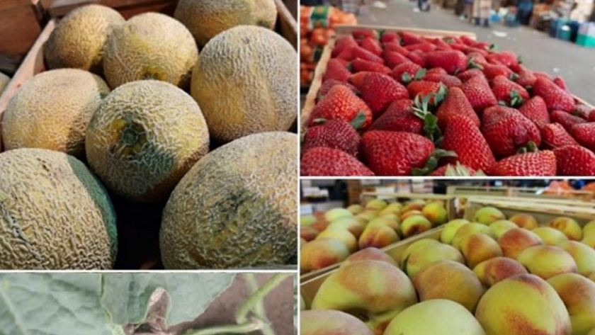Crece la oferta de frutas en la plaza local