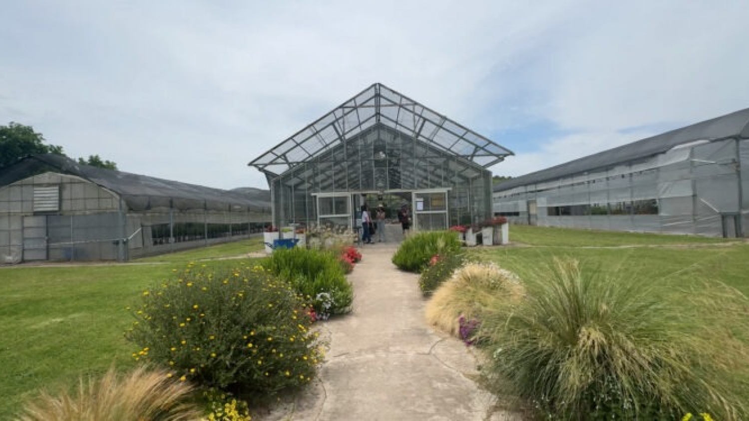 INTA Castelar: investigación, genética y futuro para la floricultura con sello nativo