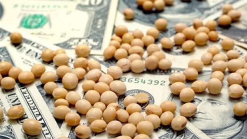 El BCRA creó un régimen para productores que vendan cosecha