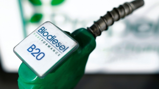 Biocombustibles: crece la búsqueda de consensos para definir un nuevo marco regulatorio.