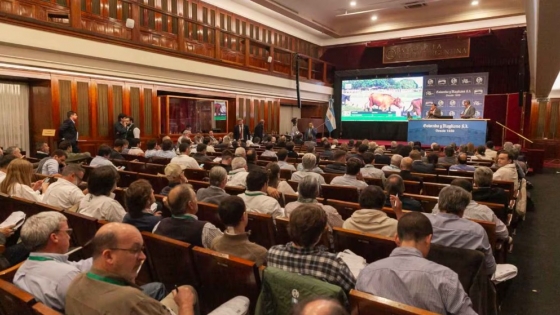 Remate récord en el Banco Nación: la ganadería mostró volumen histórico y precios sostenidos