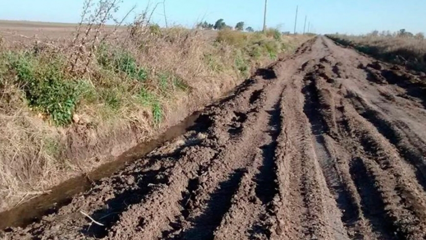 Mejores caminos permitirían ahorrar US$ 2000 millones en transporte