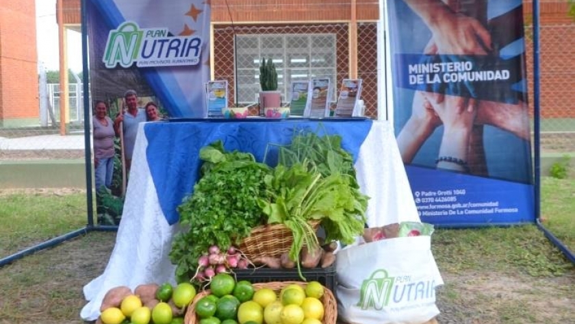 Comienza la entrega de los bolsones del Plan Nutrir