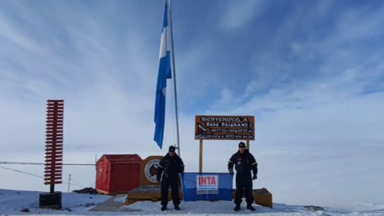 Hidroponia en la Antártida: construyen el tercer módulo, para alimentar mejor al personal militar y científico