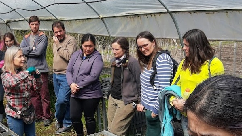 El Gobierno de la Provincia capacita a docentes sobre la protección del bosque