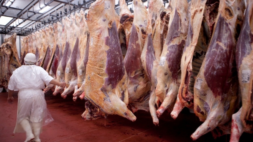Serbia, nuevo destino para las carnes bovinas sin huesos argentinas