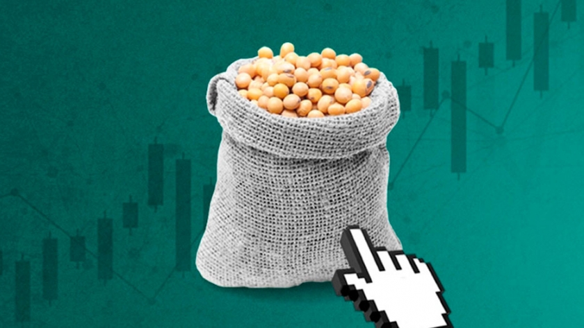 Aprovechá el boom de precios de la soja: así podés invertir tus pesos, sin moverte de tu casa