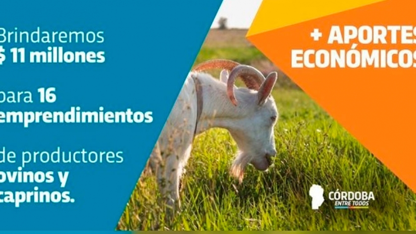 Aporte económico para productores ovinos y caprinos