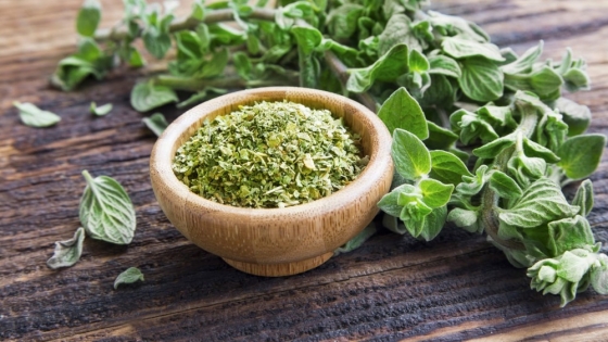 Orégano: tradición, sabor y bienestar en una sola planta