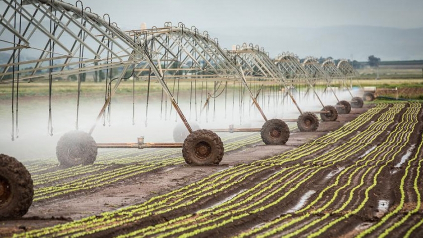 Agricultura que usa menos agua según una nueva investigación