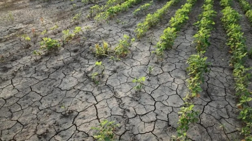 Hay un 77% de probabilidad a favor de un evento “Niña” para octubre de 2024; ¿realmente puede haber menos lluvias por La Niña?
