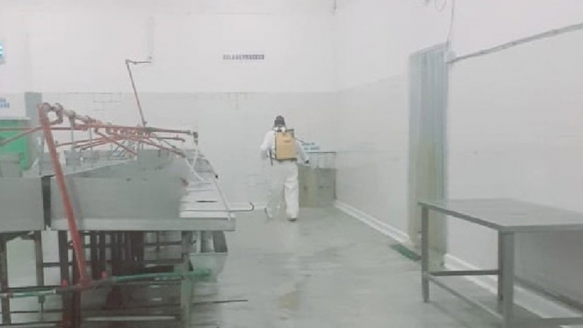 La actividad de la Terminal Pesquera Artesanal no se detiene