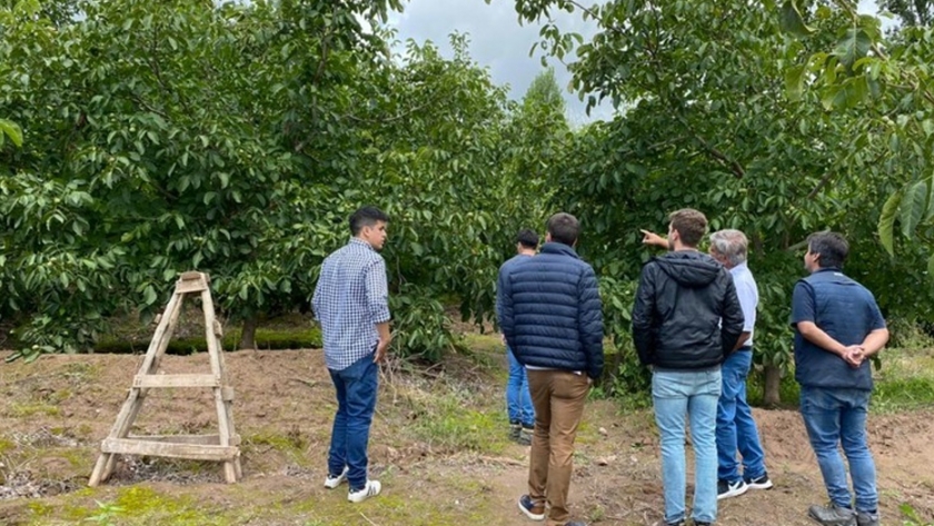Importador visitó a productores nogaleros de Pozo de Piedra