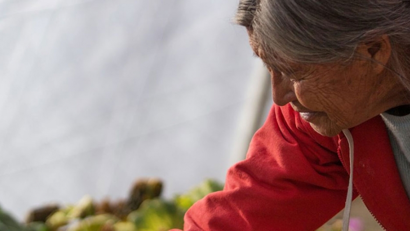 Acciones para destacar la contribución de la mujer rural