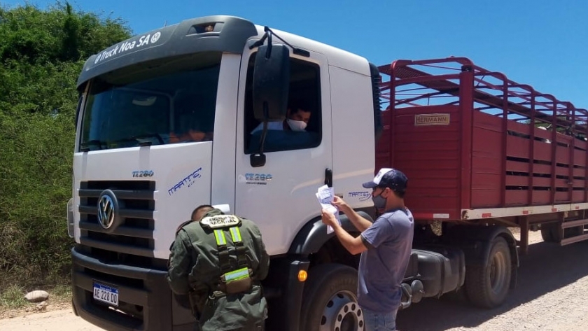En resguardo de la salud se impidió en Jujuy el consumo de carne caprina y porcina