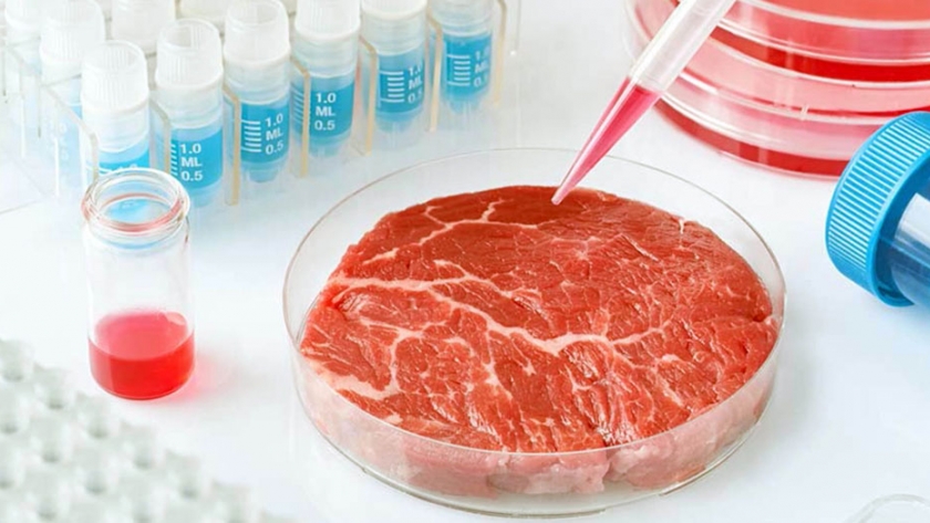 Agricultura celular: la aceptación de la carne cultivada florece en Francia y Alemania