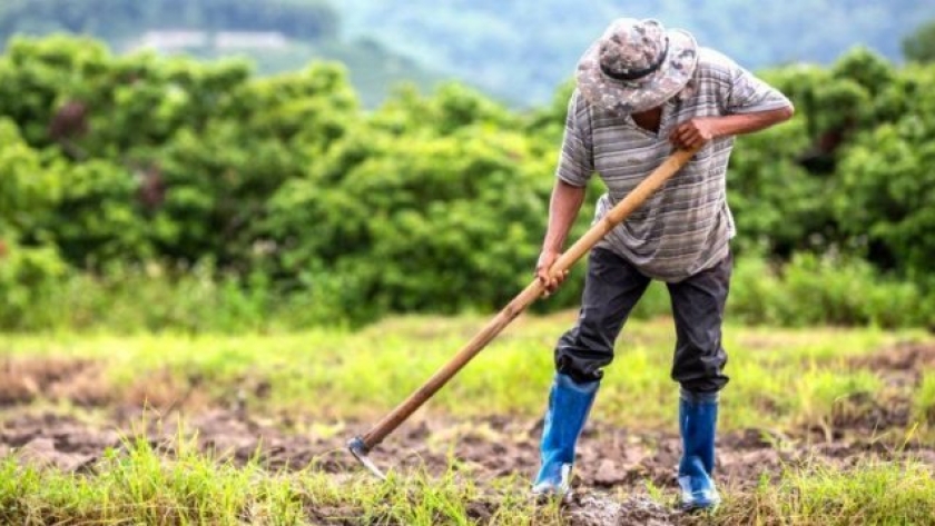 El Día del Trabajador Rural se celebrará el 9 de octubre