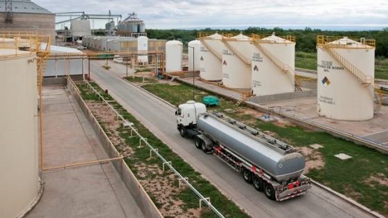 Biocombustibles: presentaron un proyecto para llevar al 15% el corte