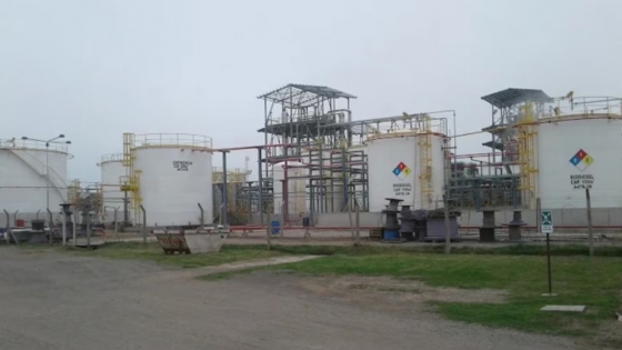 Pymes del biodiésel advierten que la reforma de la Ley de Biocombustibles podría poner en riesgo 10.000 empleos