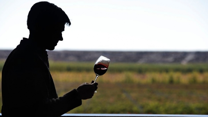 Río Negro presente en la ExpoVinos de la Patagonia, versión "Desde Casa"