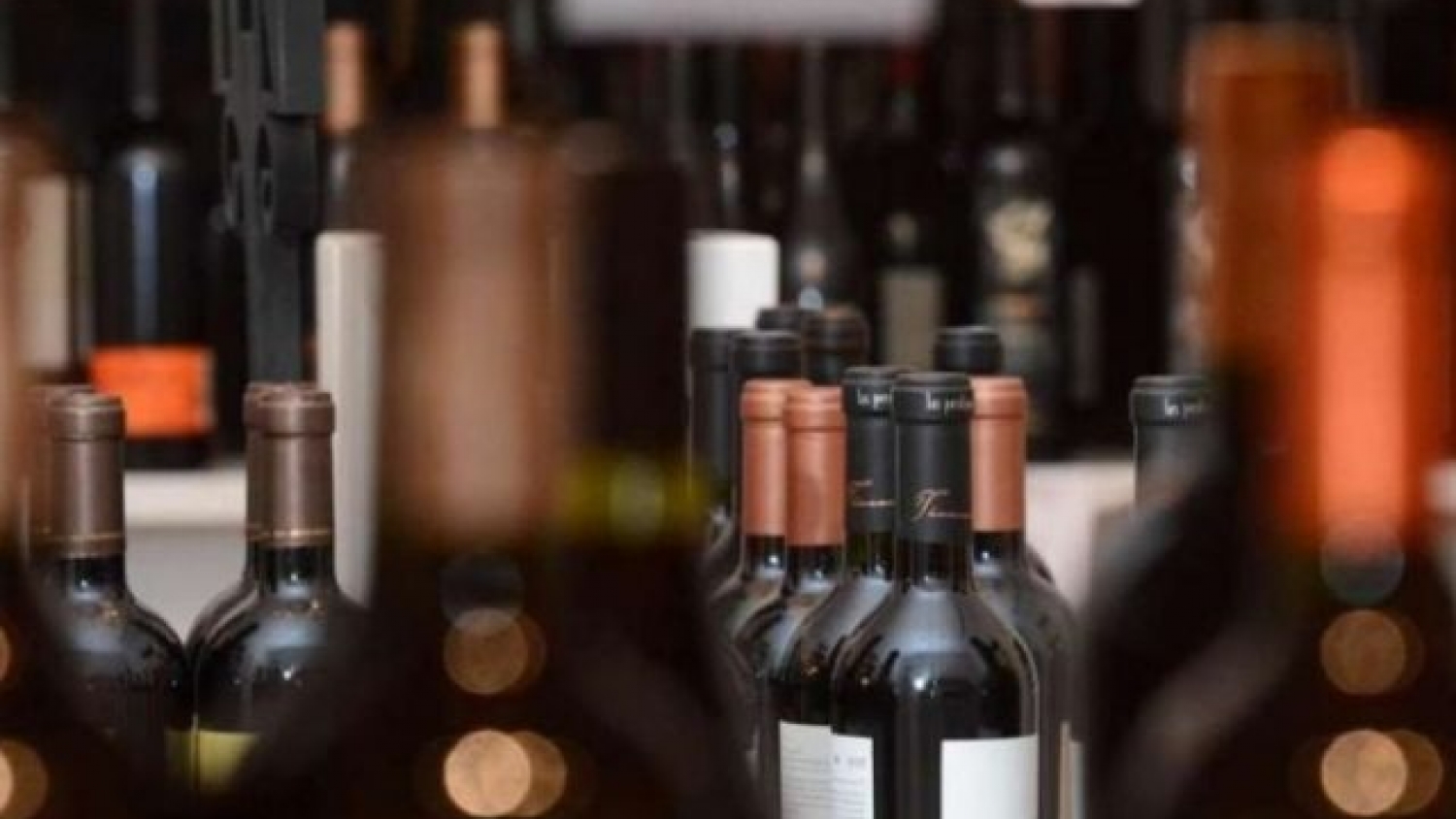 Exportaciones de vino y mosto recuperan impulso y generan más de US$ 317 millones en cinco meses