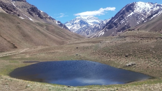 Avances en la Conservación de los Humedales de la Cuenca del Río Mendoza