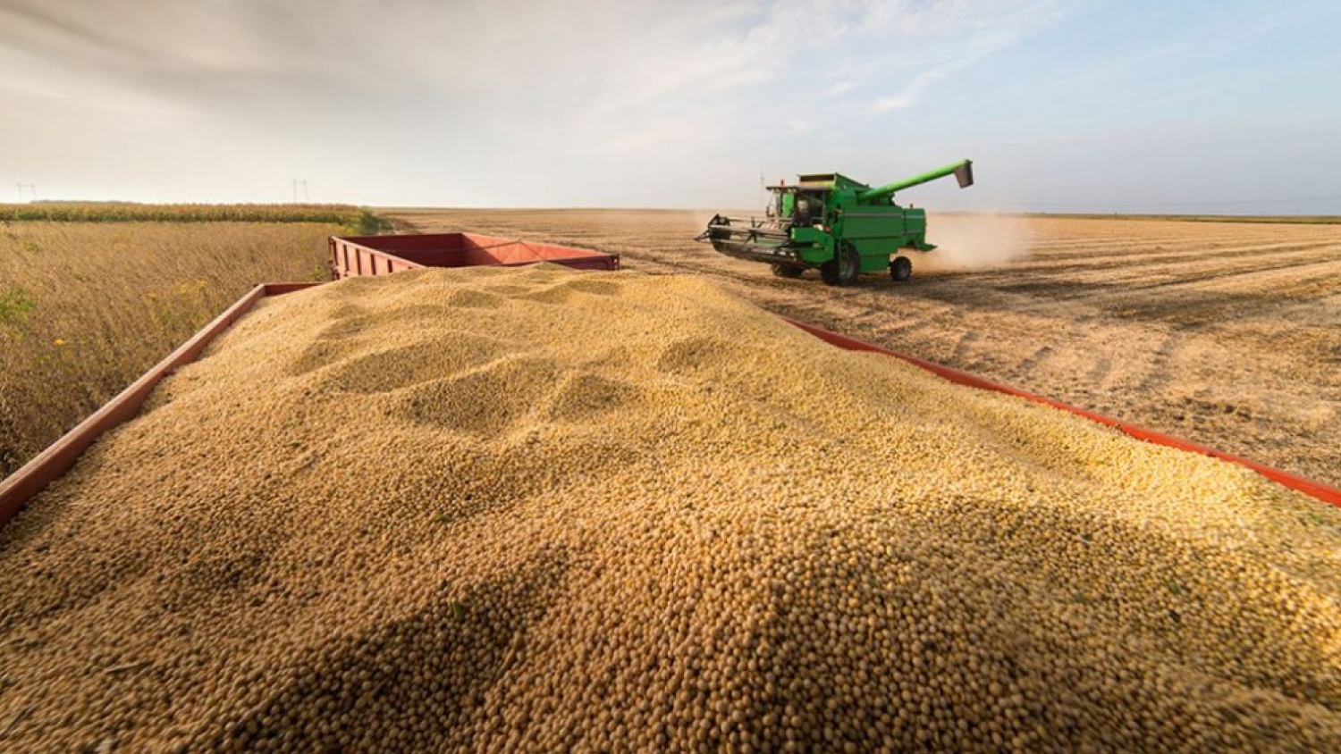 La renta agrícola mejora, pero los impuestos todavía absorben más de la mitad