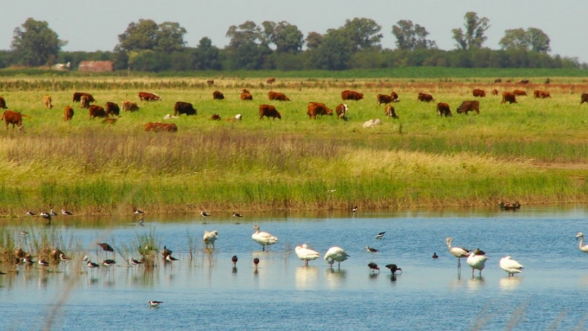 Dinámica de las inundaciones en las cuencas del departamento Maraco, La Pampa