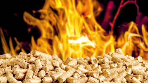 Pellets de madera: la energía renovable que impulsa el desarrollo forestal argentino