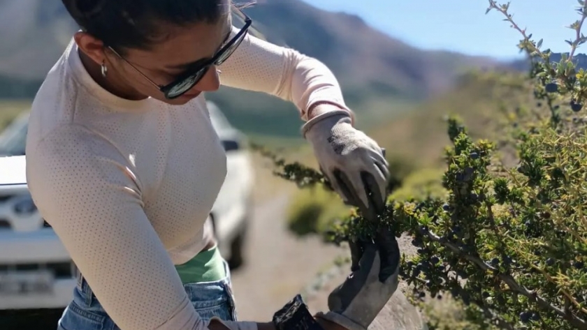 Con el apoyo de la Provincia becaria chubutense presentó un innovador estudio