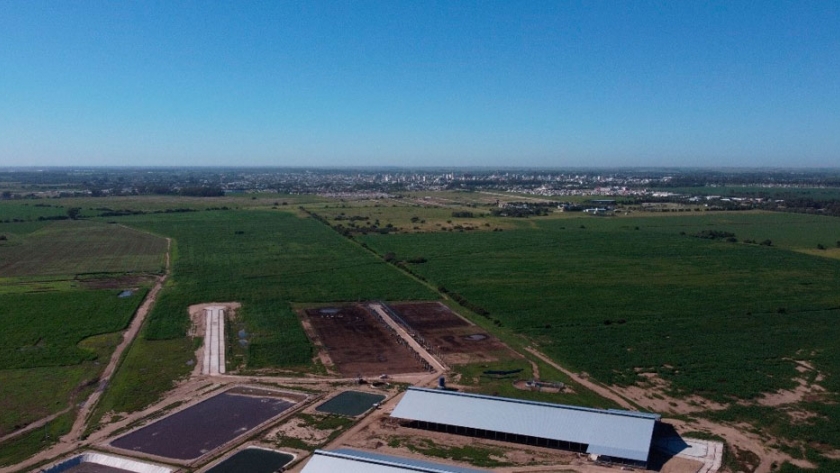 Los campos cordobeses son testigo de importantes historias de innovación, sustentabilidad y superación
