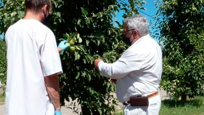 Chubut avanzó en políticas de sanidad vegetal junto a productores e instituciones