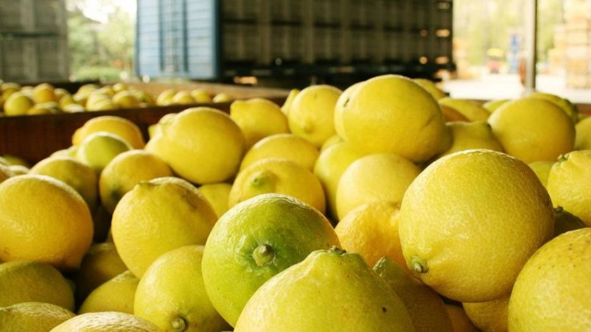 Limones: Argentina envía las primeras 24 toneladas a China