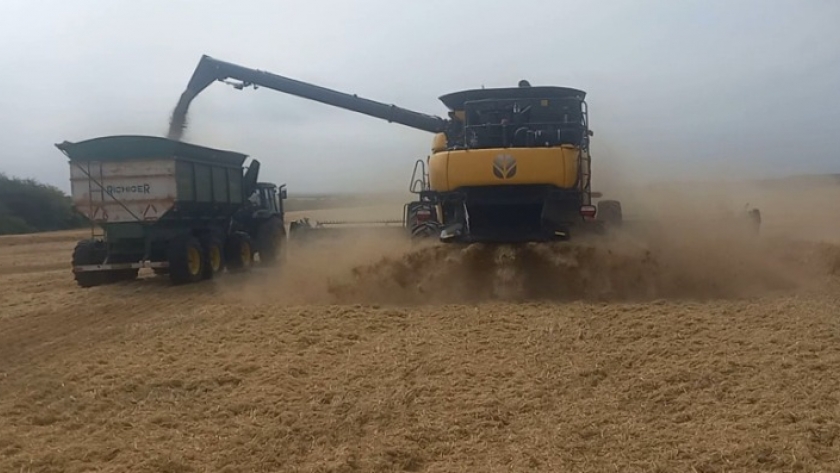 Gracias a la devaluación, la presión fiscal sobre el sector agrícola pampeano se redujo a 59%, el nivel más bajo en diez años