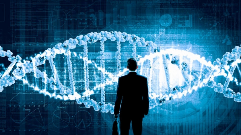 La importancia del ADN empresarial