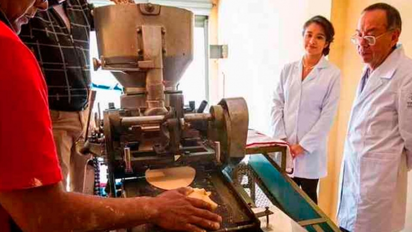 Crean científicos tortilla de cebada para ayudar en el control de glucosa en sangre