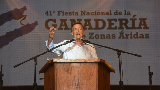 Rodolfo Suarez: “La actitud del Presidente sobre Portezuelo del Viento fue un cachetazo para los mendocinos”