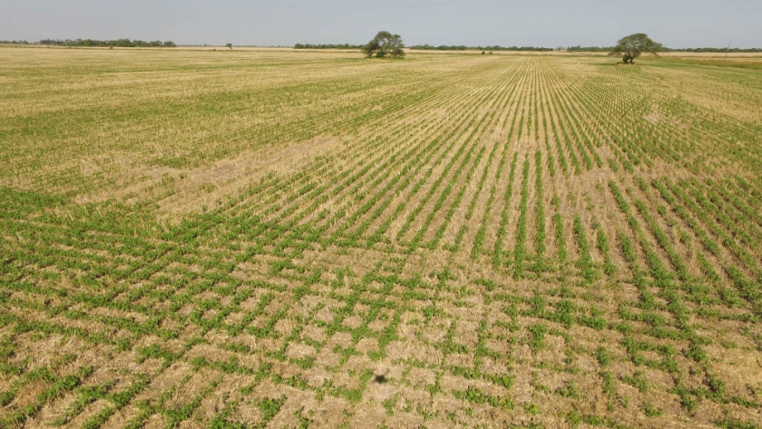 La Provincia informa el mecanismo para acceder a los beneficios de la emergencia agropecuaria 2022