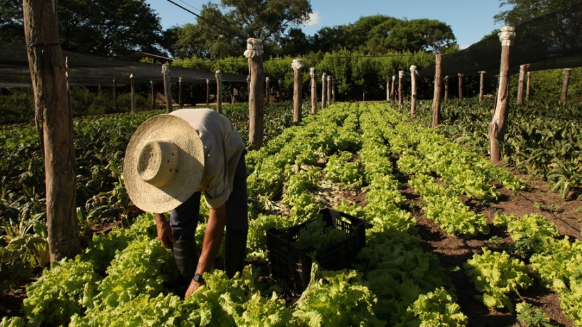Corrientes, a la vanguardia en la formación de técnicos en Buenas Prácticas Agrícolas
