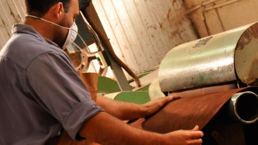El cuero argentino, un producto de lujo de exportación que terminará enterrado | Agroempresario.com