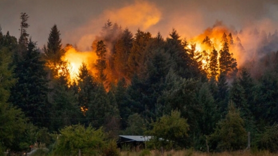 Incendios rurales: el CPIA advierte que Argentina supera los 10.000 focos anuales y reclama una política permanente de prevención