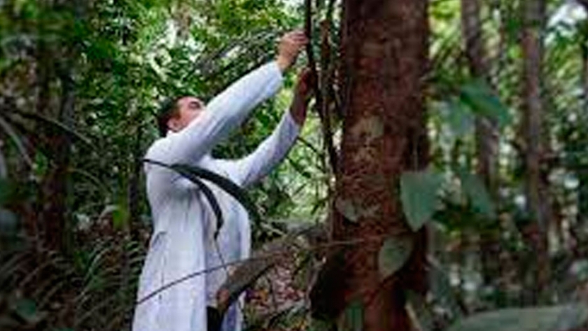Bolsonaro apuesta a la bioeconomía para el desarrollo de las comunidades del Amazonas